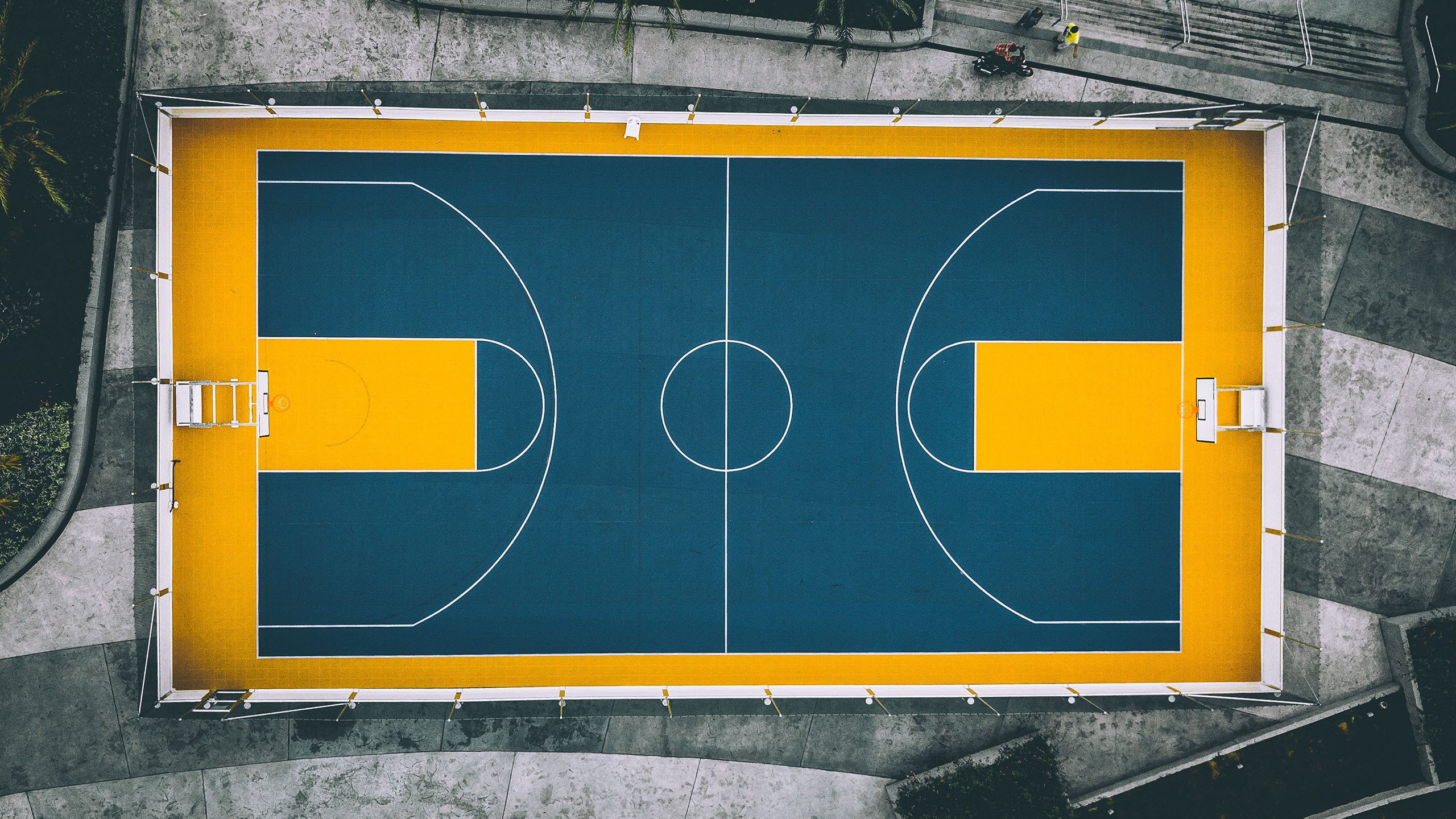 Ming大比分领先，悬念终结，王者归来还是新王登基？|pg娱乐入口